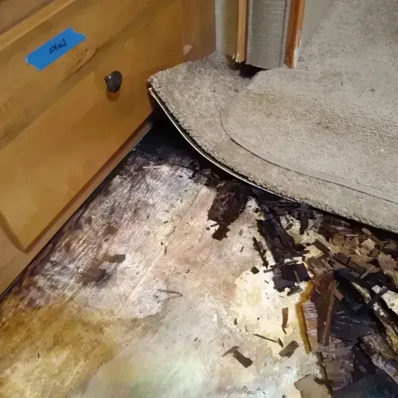 Wood Floor Water Damage in Kure Beach, NC